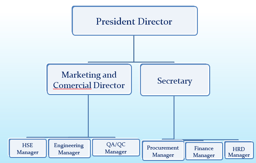 Company Organization